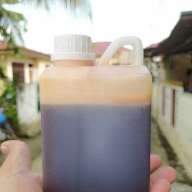 

MADU HUTAN LIAR ASLI