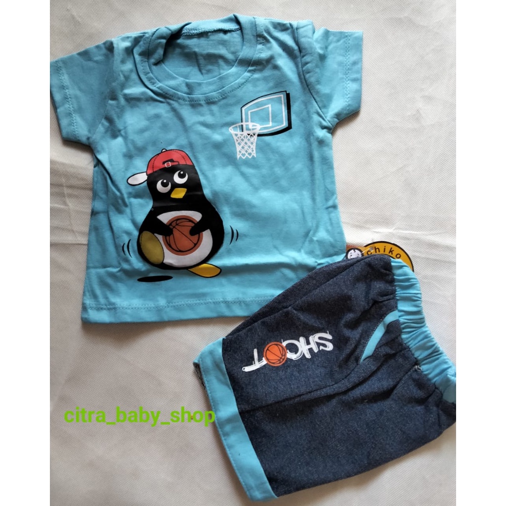 Setelan Kaos Anak Cowok Usia 12 Bulan Impor Motif Pinguin