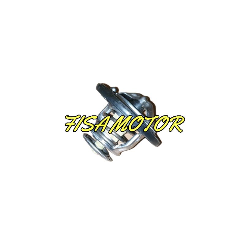 Thermostat Nissan X Trail 2.5 T31 N005