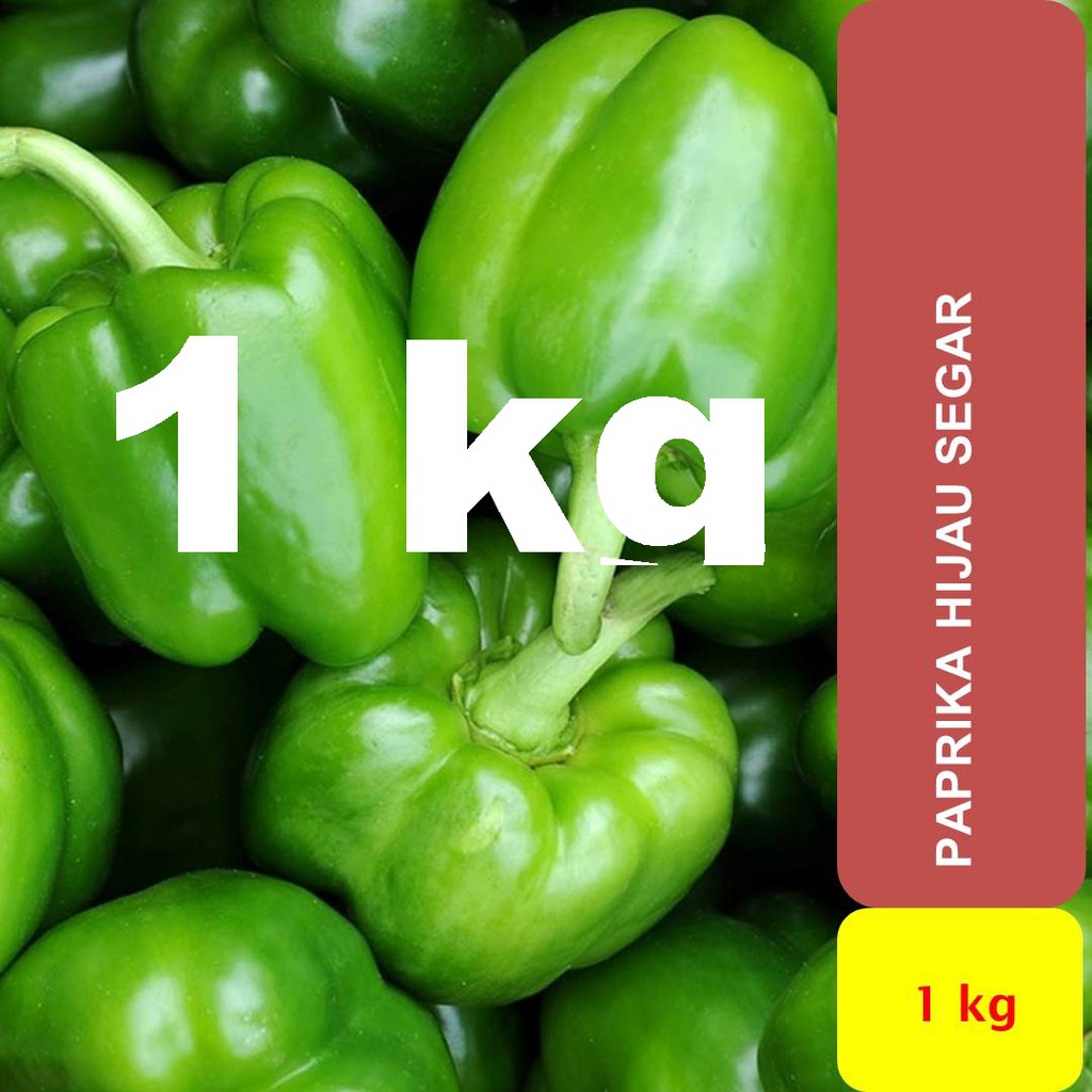 

Paprika Hijau Segar 1 kg