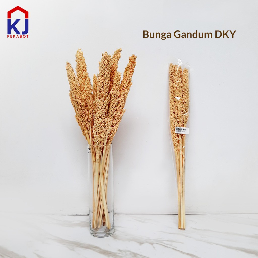  BUNGA GANDUM  KERING Shopee Indonesia