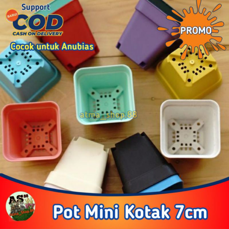 Pot Mini Kotak 7cm Netpot Untuk Hidroponik Anubias Kaktus Skulen Grosir Promo Murah Cod