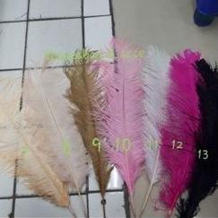 BULU OSTRICH PANJANG 55-60 CM BULU DEKORASI BULU HIASAN ..