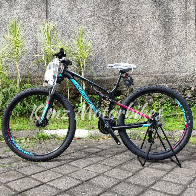 Sepeda Polygon Rayz 3