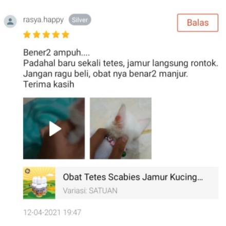 Obat Scabies Kucing Kelinci Anjing Guinea pig Hair Loss Sugar Glider ANTISCAB