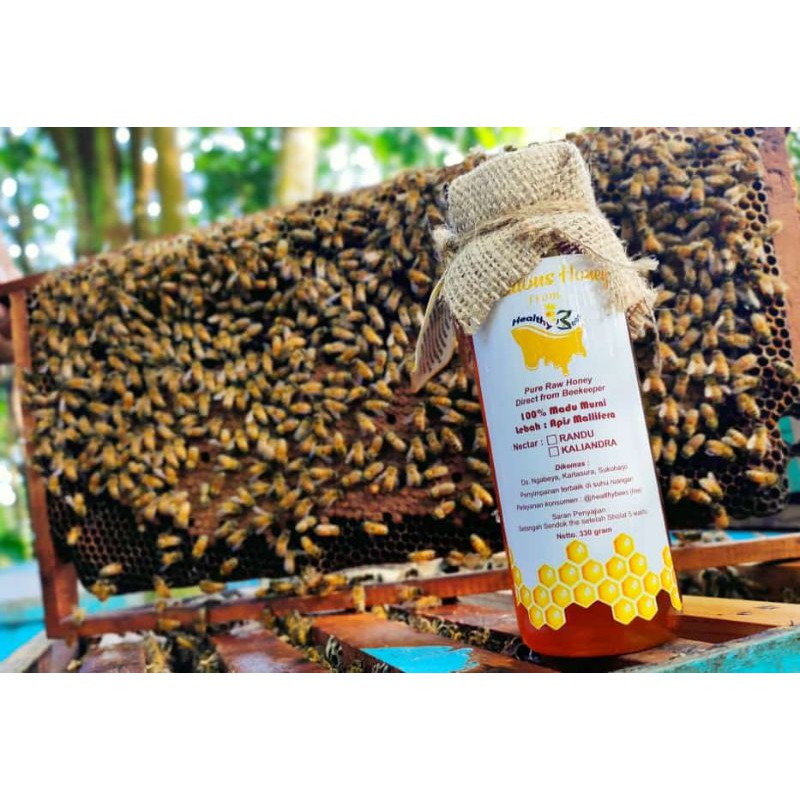 

madu murni healthy bees