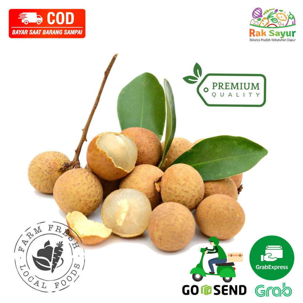 

Buah Lengkeng 500gr Manis Buah Manisan Fresh Rak Sayur Padang