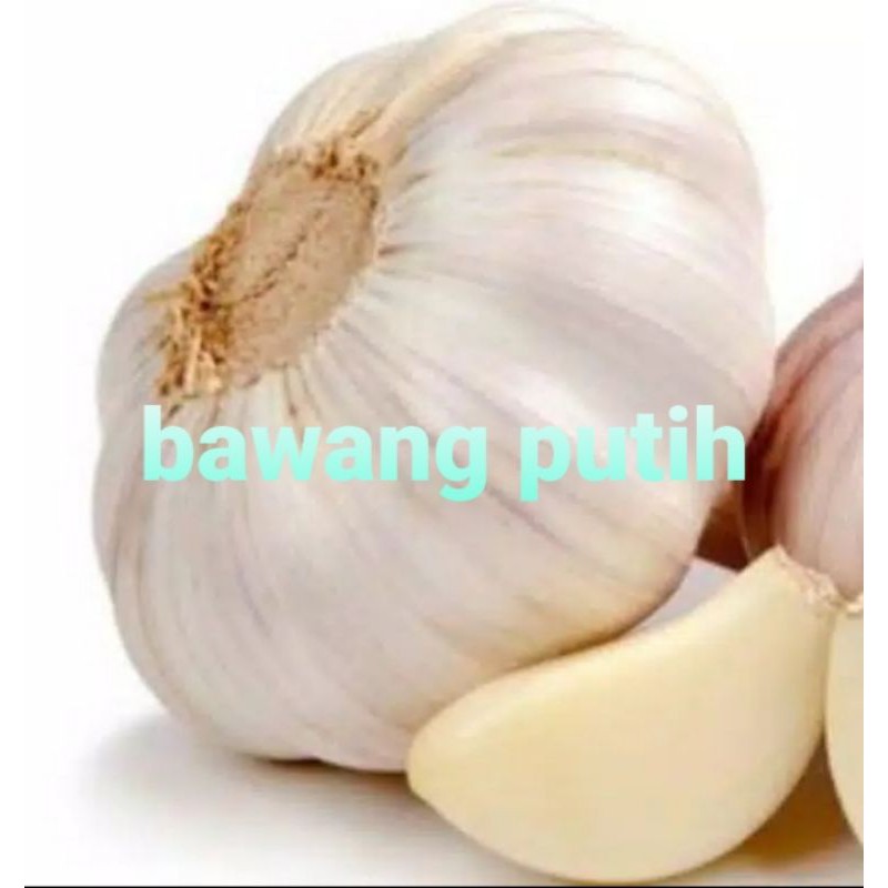 

BAWANG PUTIH/500 GRM