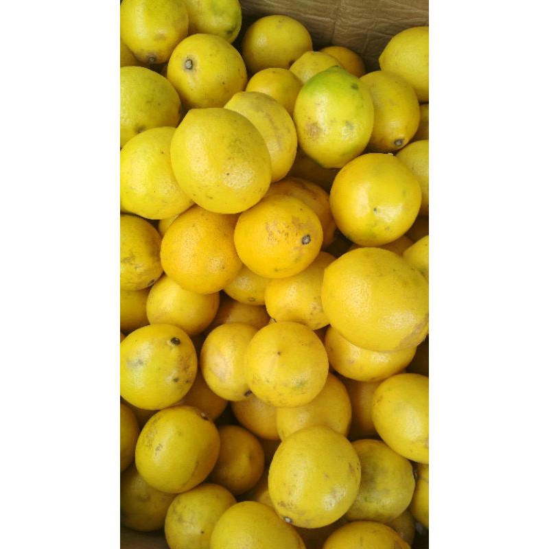 

Lemon