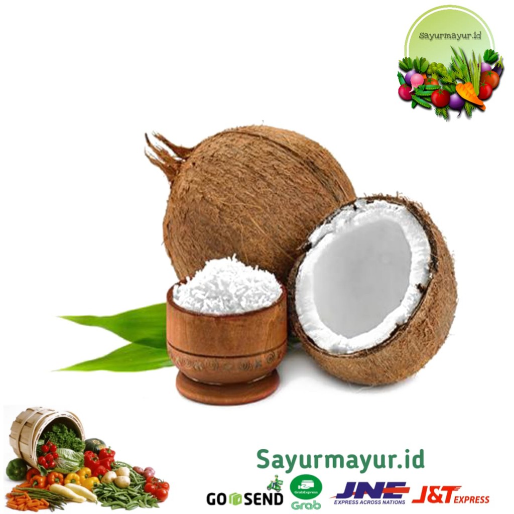 

KELAPA TUA SANTAN / KELAPA PARUT