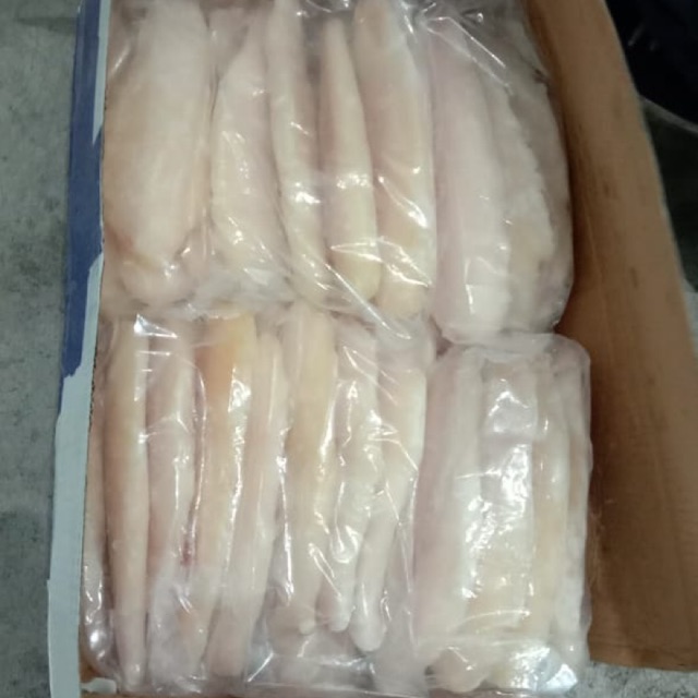 

Ikan dori