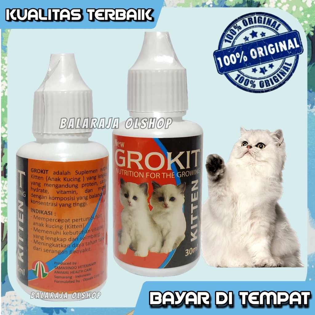 Vitamin Anak Kucing Untuk Meningkatkan Pertumbuhan Kucing Penambah Nafsu Makan - GROKIT