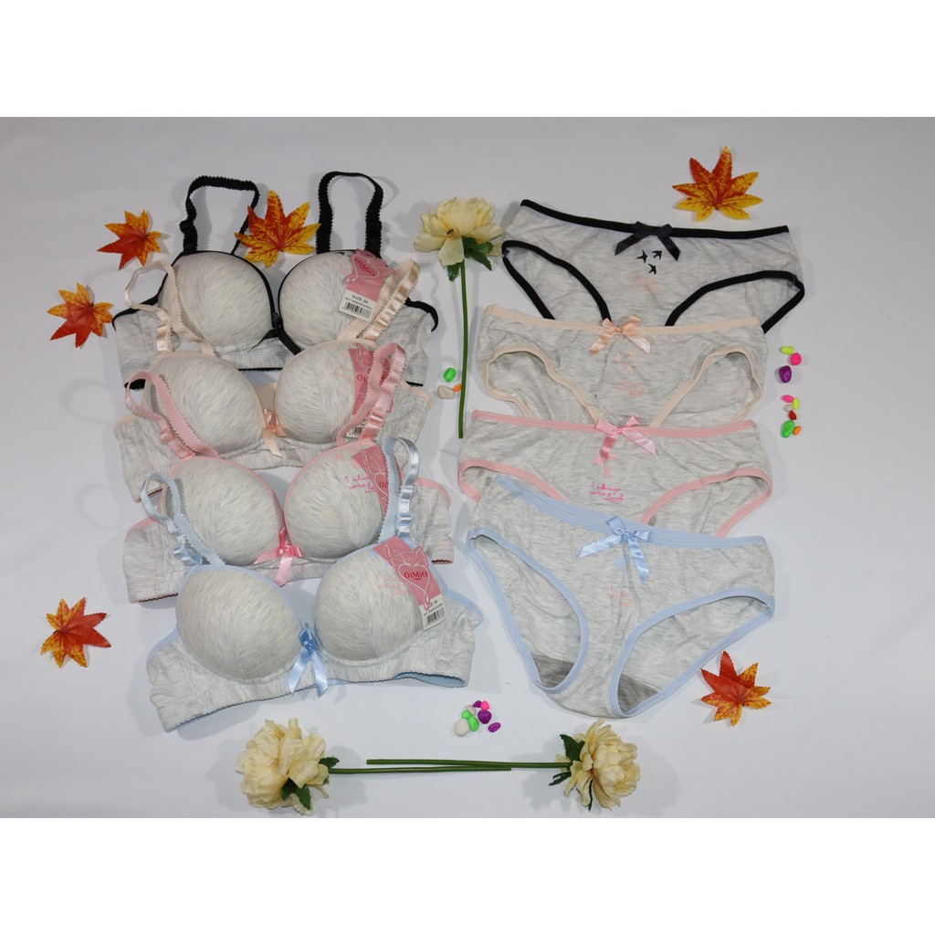 BH DAN CD SET Remaja/Wanita OIMIO Tanpa Kawat Extra Comfort