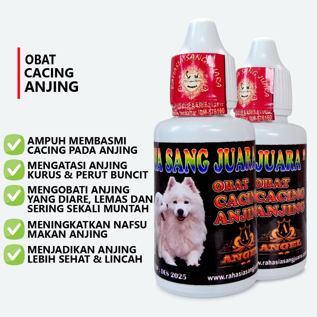 OBAT CACING ANJING AMPUH UNTUK ANJING KECIL PUPPY DAN DEWASA