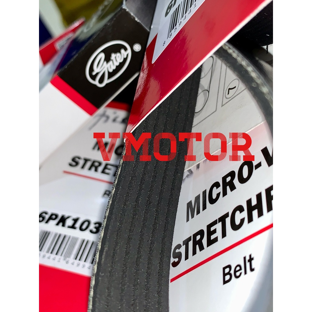 VanBelt Ford Fiesta/Fan Belt/FanBelt Fiesta