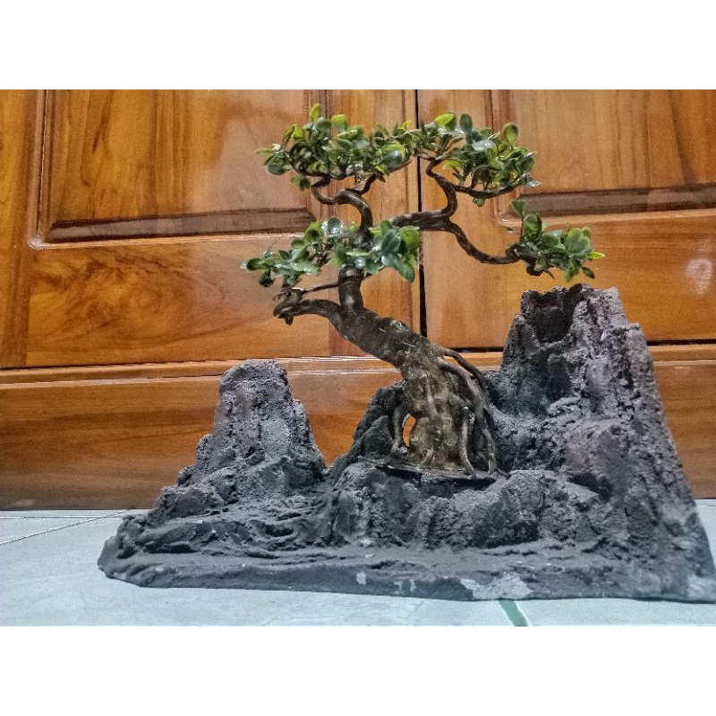 ID BONSAI AQUARIUM / BONSAI AQUASCAPE / HIASAN AQUARIUM