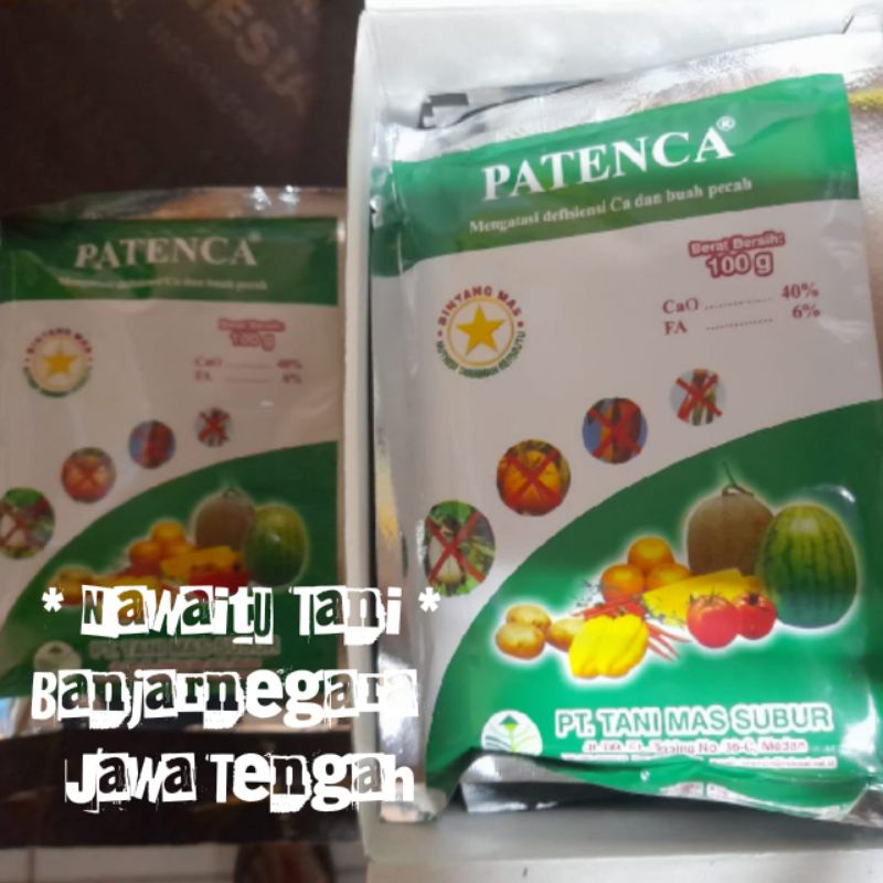 PATENCA (100gram)