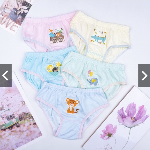 CELANA DALAM ANAK CEWEK JL KIDS IMPORT | CD ANAK CEWEK PEREMPUAN