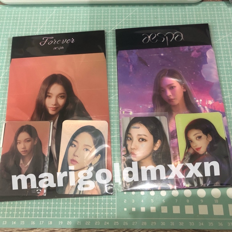 AESPA Karina epoxy cashbee standee holo set