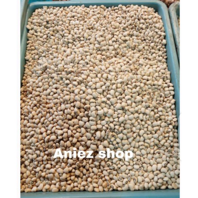 

Kacang Tolo (White Kidney Bean) alami 1 kilo gram