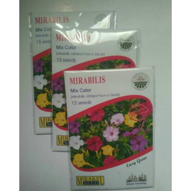 

MIRABILIS Mix Color isi 15 biji