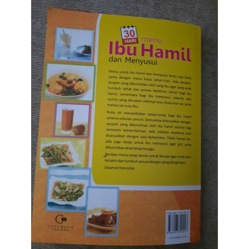 Buku Resep Masakan 30 Hari Menu Ibu Hamil Dan Menyusui Shopee Indonesia