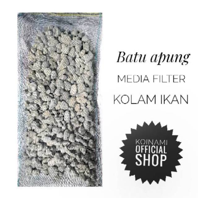 BATU APUNG isi 1kg / filter kolam ikan koi / saringan / penjernih aquarium / aqua scape / bakteri