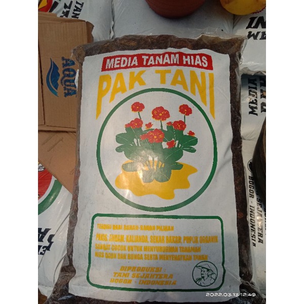 MEDIA TANAM siap pakai khusus AGLONEMA