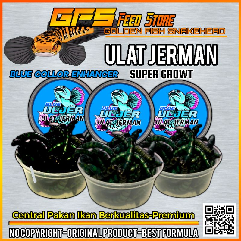 Uljer Blue/Ulat Jerman Blue Pigment Kemasan Cup