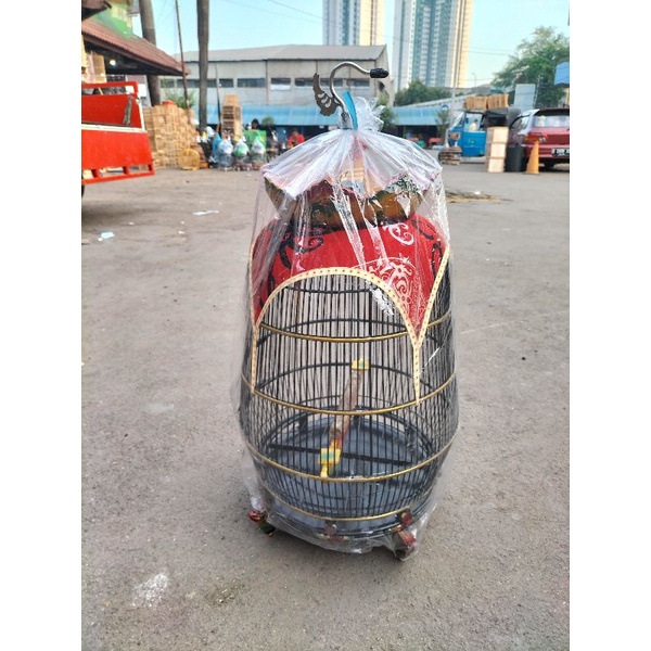 SANGKAR KANDANG PERKUTUT KAIN MODEL JAMBU.
