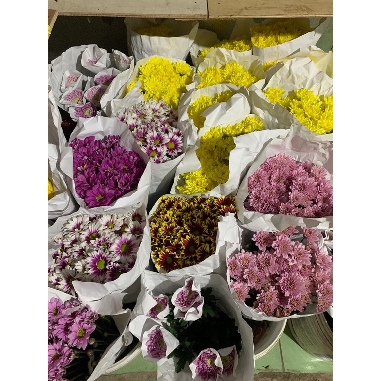 Bunga Potong Segar | Fresh Flower | Krisan & Aster
