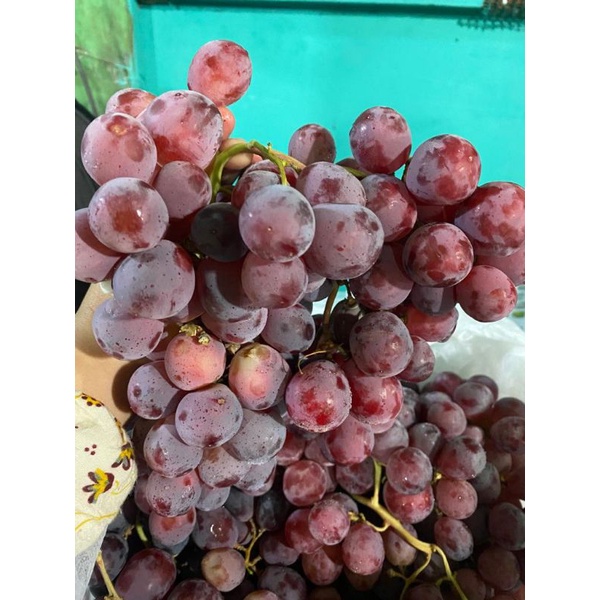 

Anggur red china 500gram fresh