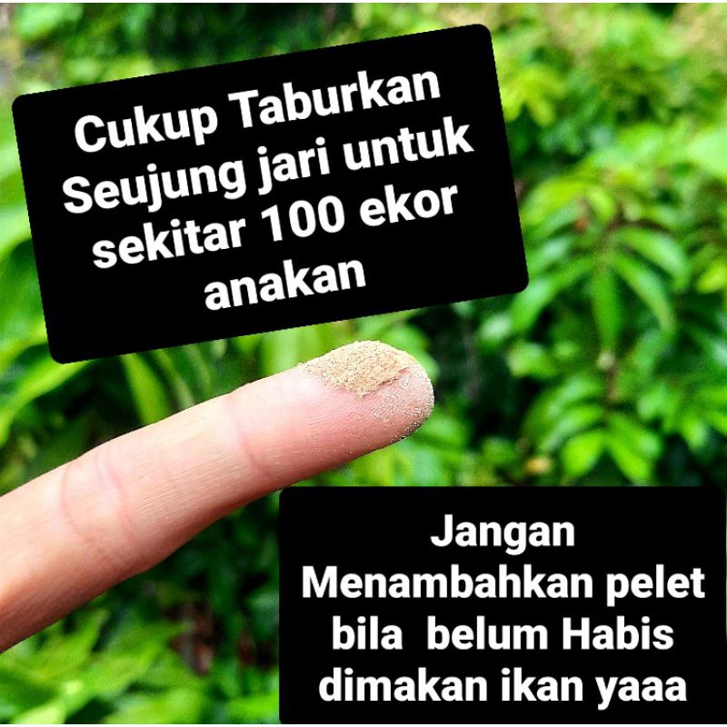 DEMI PELET BURAYAK 75 Gram. Pakan anakan ikan cupang channa guppy louhan koi