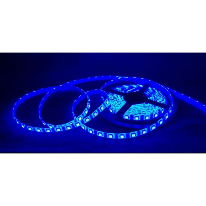 FLEX STRIP SMD 5050 24 V 5 meter