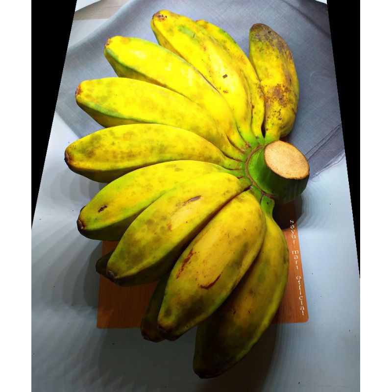 

Pisang kepok super 1kg khusus instan