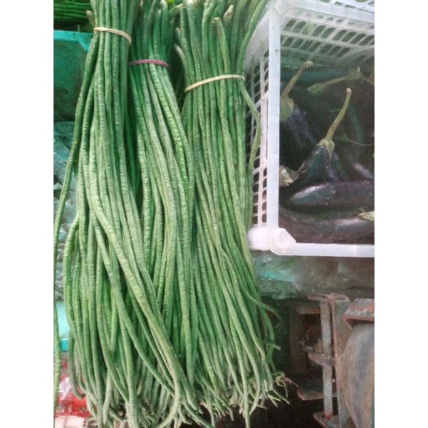 

KACANG PANJANG (300gr)