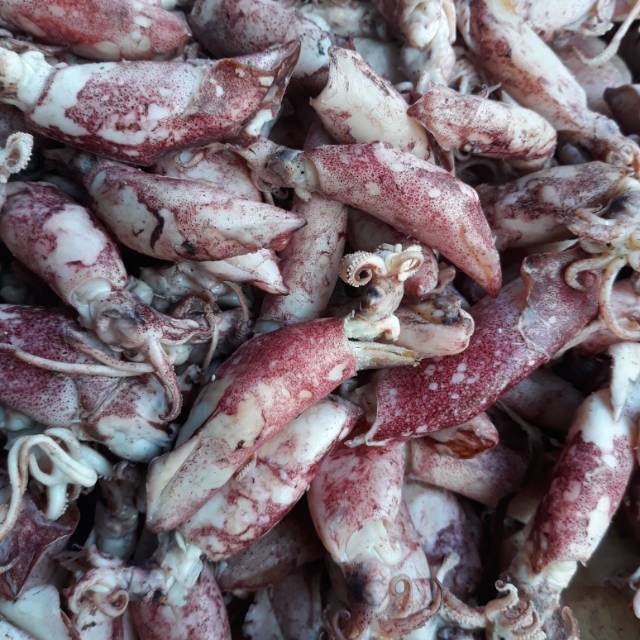 

Cumi Kering Asin ukr 250gr