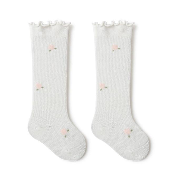 Baru Terkini kaos kaki anak bayi sora socks