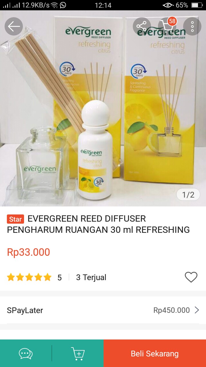 Evergreen Reed Diffuser Pengharum Ruangan 30 Ml Refreshing Citrus