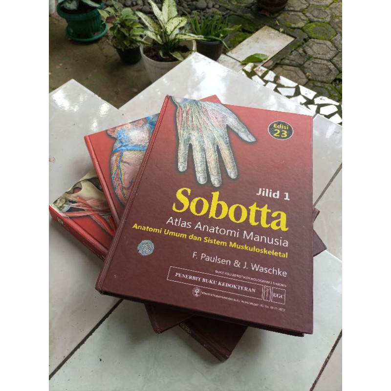 Sobotta Jilid 1, 2, 3