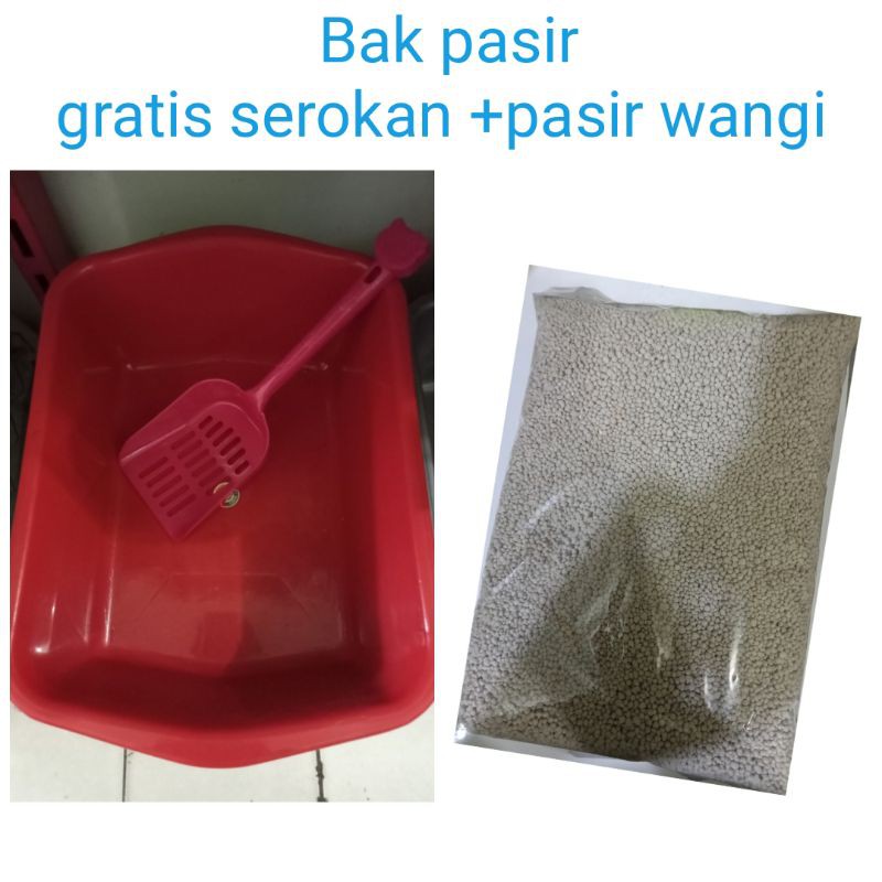 paket murah bak pasir gratis serokan + pasir wangi 1,5kg/Cat Litter Box/Kotak Kotoran Kucing/Baskom