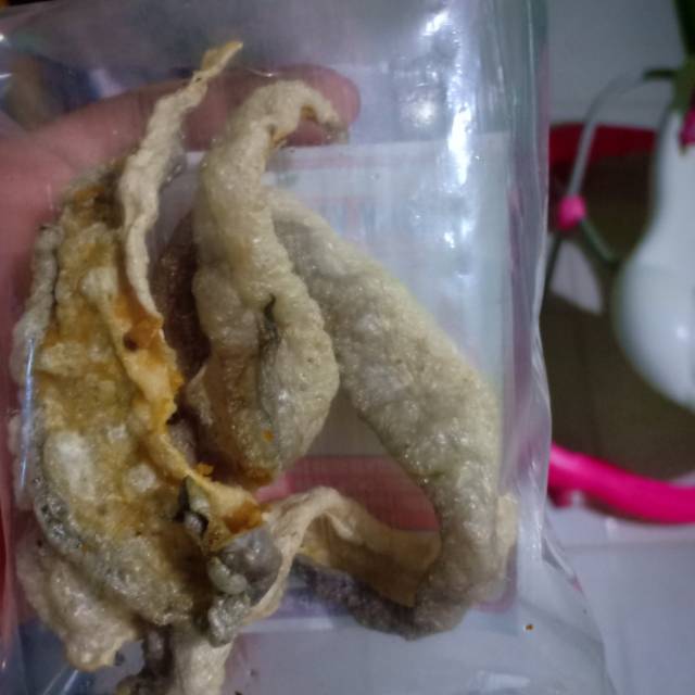 

Kerupuk kulit ikan