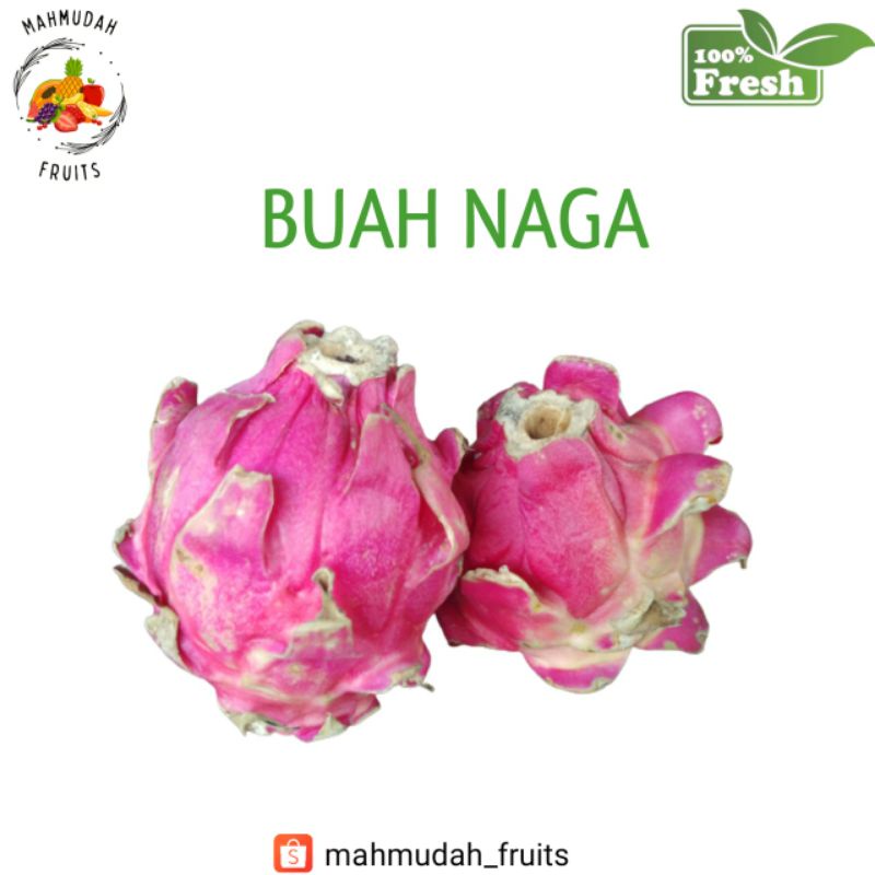 

Buah Naga Merah 500 Gram