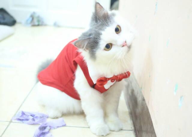 Kaos tuxedo merah putih untuk kucing dan anjing / baju kucing size S M L XL