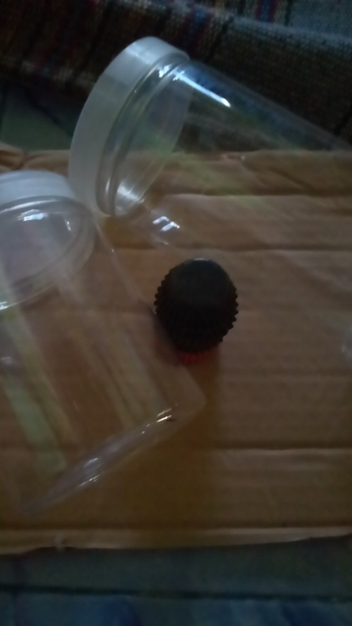 Toples Tabung Pet 1 Liter Untuk Snack Kue Kering Kripik [1 Pcs]