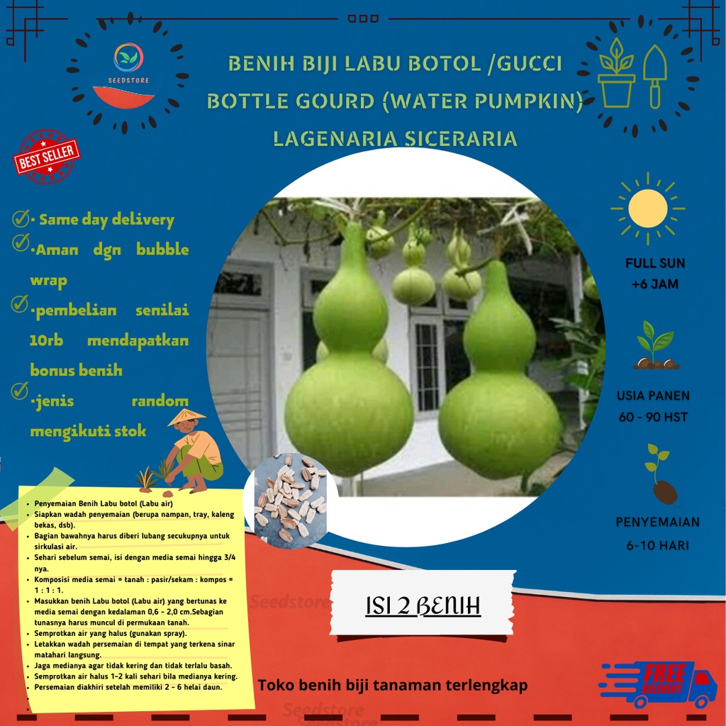 2 benih biji labu kendi /labu gucci / labu botol