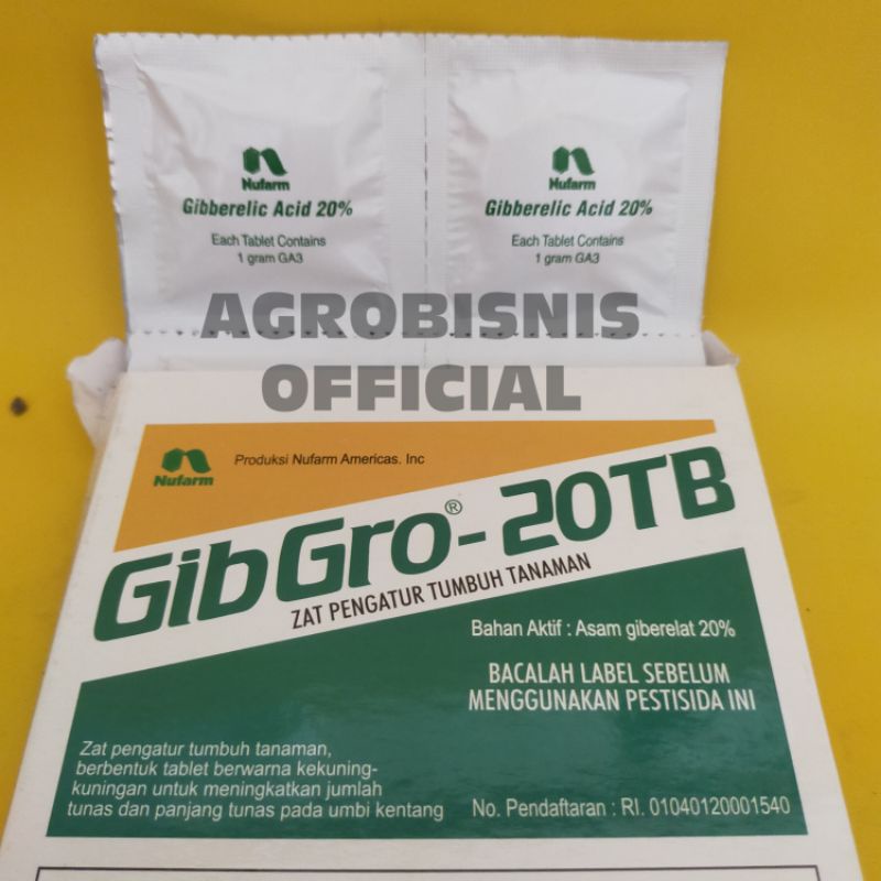 ZPT GIBGRO 20TB TABLET