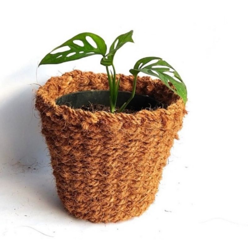 pot sabut kelapa Keset serabut kelapa Besar
