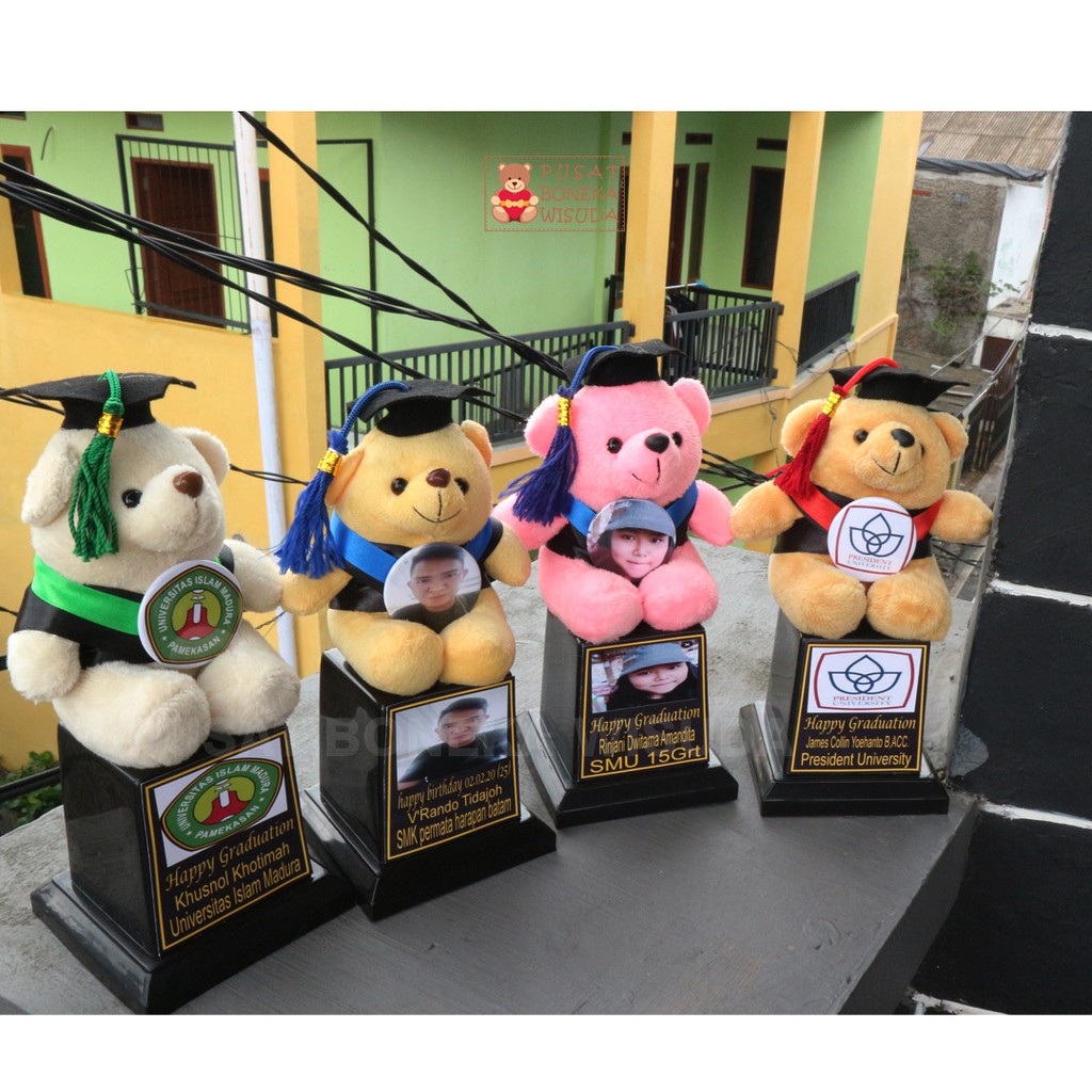 Piala Boneka Wisuda Murah Teddy Bear Kecil Mini Kado Hadiah graduation TK toga Nama Ultah Pilbon