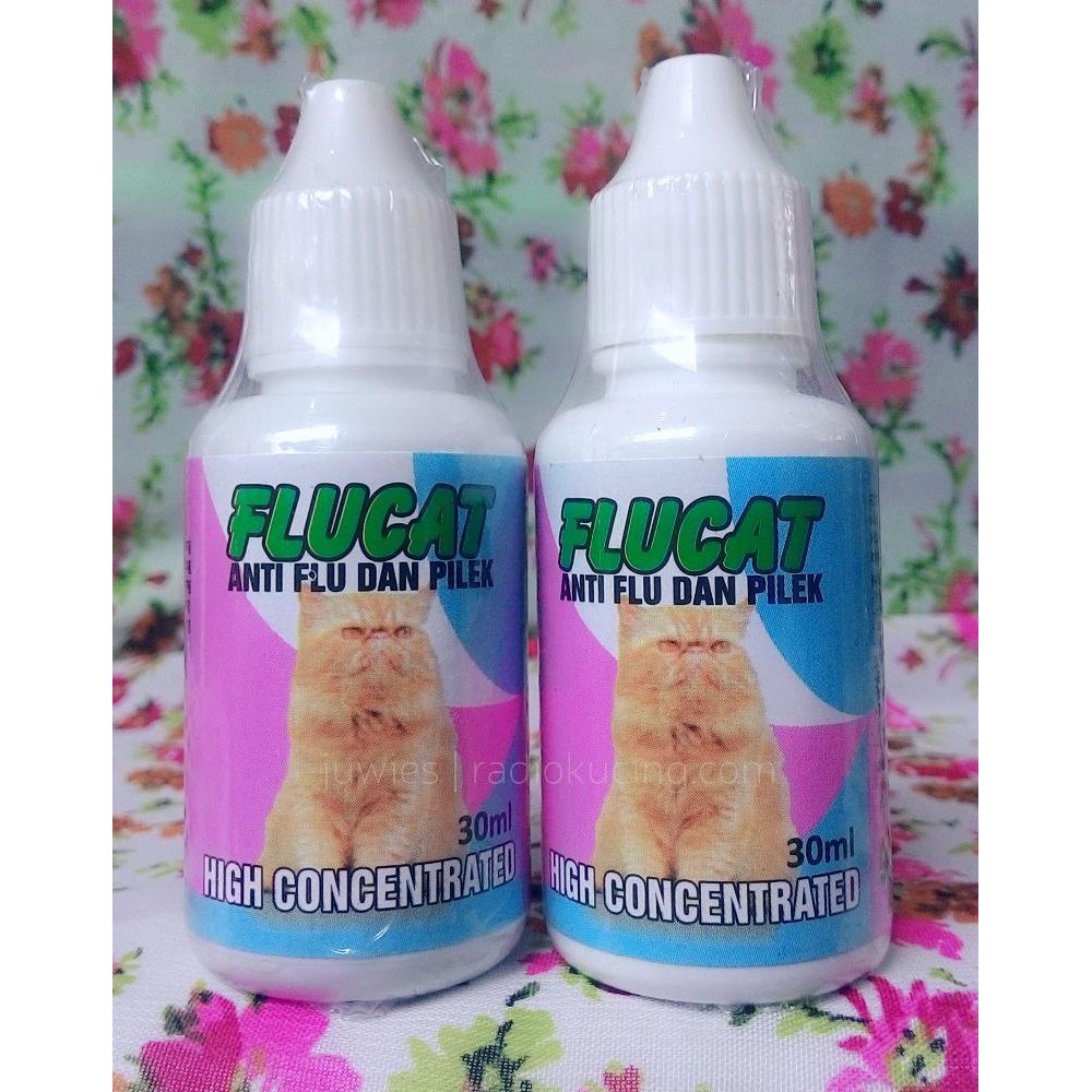 Flucat Obat Flu Pilek Kucing Wiring Diagram And Schematics